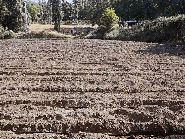 METAdan elektrik su kenarında ana yol cephe tarla - Görsel 8