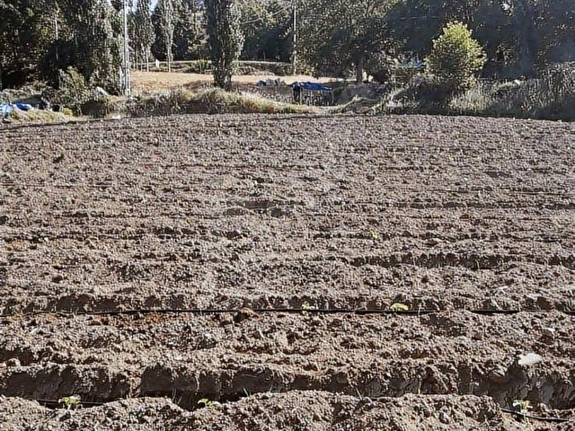 METAdan elektrik su kenarında ana yol cephe tarla - Görsel 6