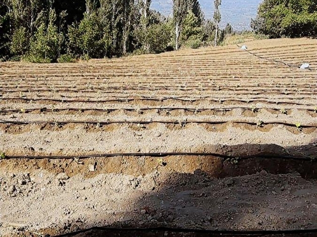 METAdan elektrik su kenarında ana yol cephe tarla - Görsel 12