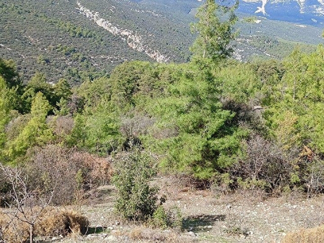 KUMLUCA ÇAYİÇİ MAHALLESİ BARAJA YAKIN SATILIK TARLA - Görsel 8