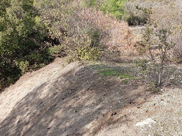 KUMLUCA ÇAYİÇİ MAHALLESİ BARAJA YAKIN SATILIK TARLA - Görsel 25