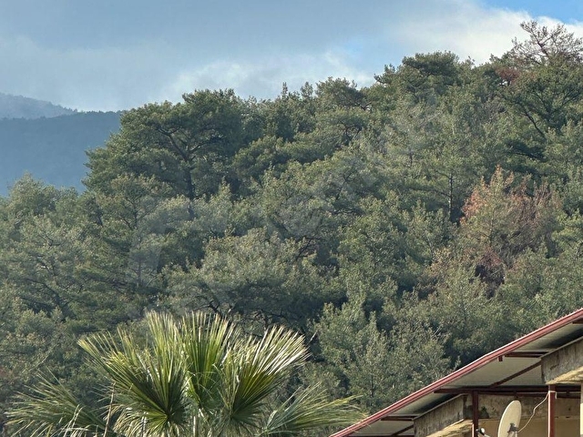 GÜZELÇAMLIDA DOĞA MANZARALI 1 + 1 ODALI SATILIK SIFIR DAIRE - Görsel 25