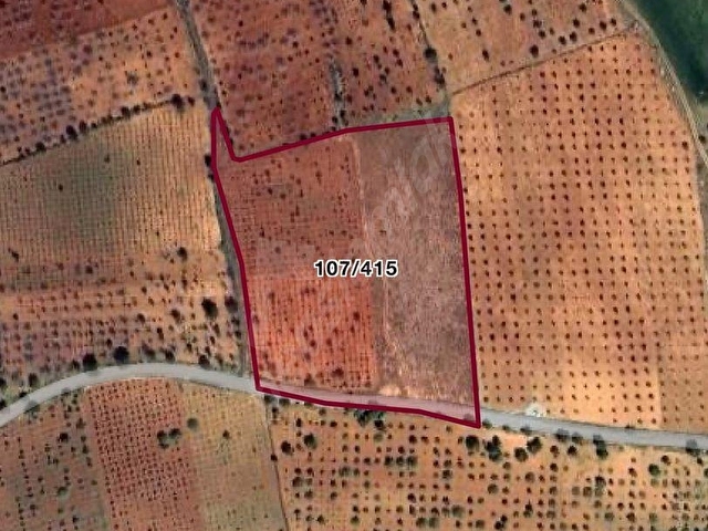 GÜLPINAR MEVKİNDE YOLA SIFIR (987M2) SATILIK TARLA - Görsel 2