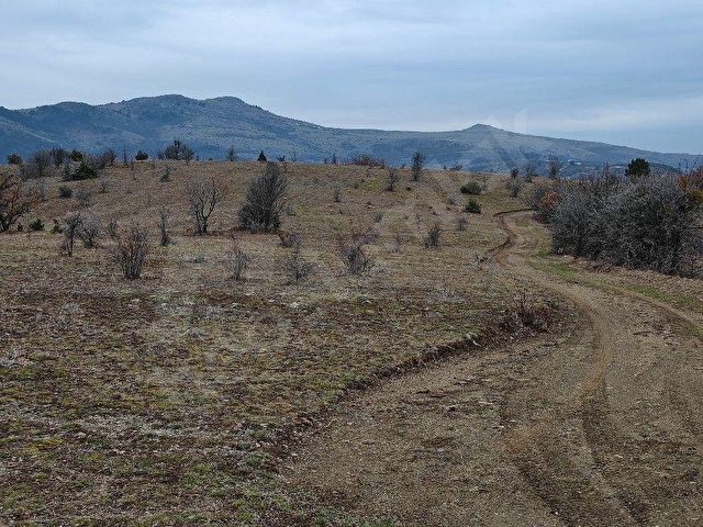 ÇUBUK DALYASANDA, YOLU OLAN, TEK TAPU TARLA