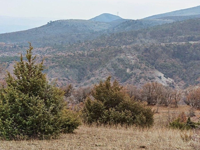 ÇUBUK DALYASANDA, YOLU OLAN, TEK TAPU TARLA - Görsel 16