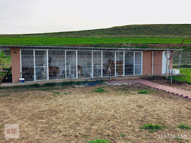 SİNCAN ÇOKÖREN SATILIK BAĞ EVİ D.GAZ/ ELEK/KUYU / meyve bahçesi - Görsel 17