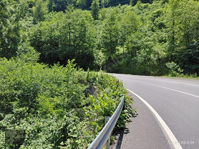 Adaplatinden Beşikdüzü Merkez Sahile 3km, 3178m2 fındık bahçesi - Görsel 2