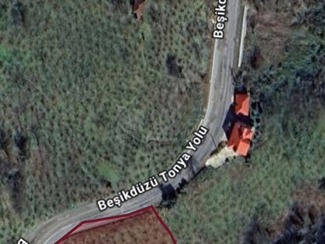 Adaplatinden Beşikdüzü Merkez Sahile 3km, 3178m2 fındık bahçesi - Görsel 25