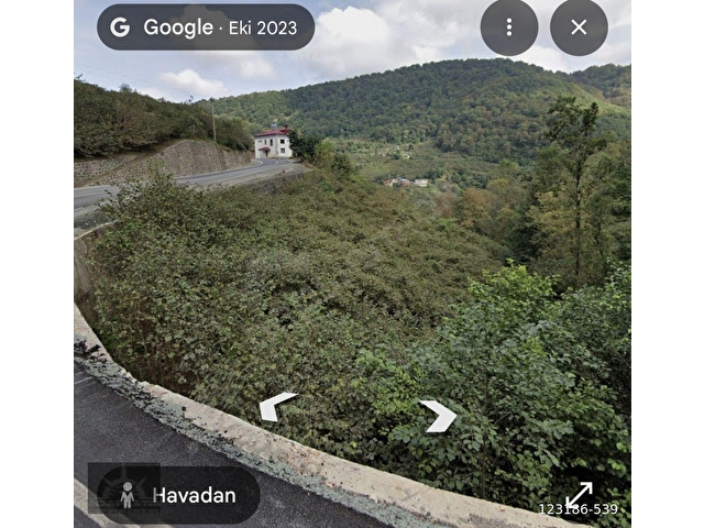 Adaplatinden Beşikdüzü Merkez Sahile 3km, 3178m2 fındık bahçesi