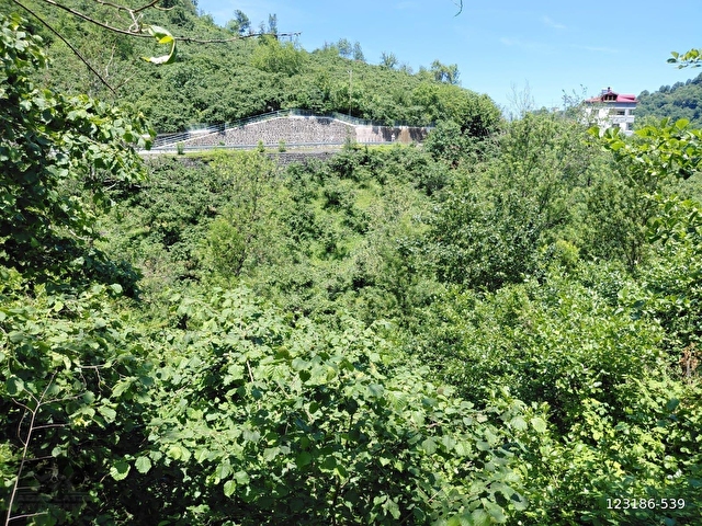 Adaplatinden Beşikdüzü Merkez Sahile 3km, 3178m2 fındık bahçesi - Görsel 11