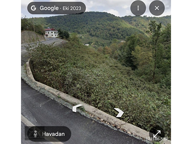 Adaplatinden Beşikdüzü Merkez Sahile 3km, 3178m2 fındık bahçesi - Görsel 21
