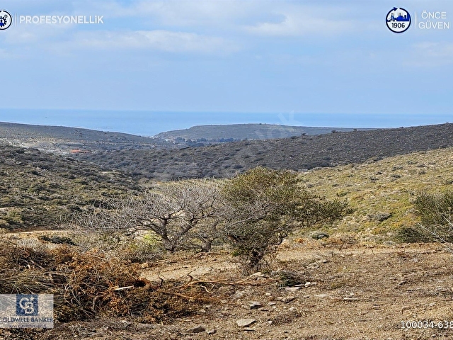 Karaburun Salmanda 9.482 m² Yatırımlık Satılık Tarla - Görsel 9