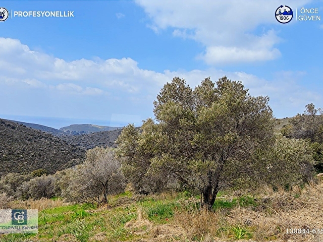 Karaburun Salmanda 9.482 m² Yatırımlık Satılık Tarla - Görsel 3