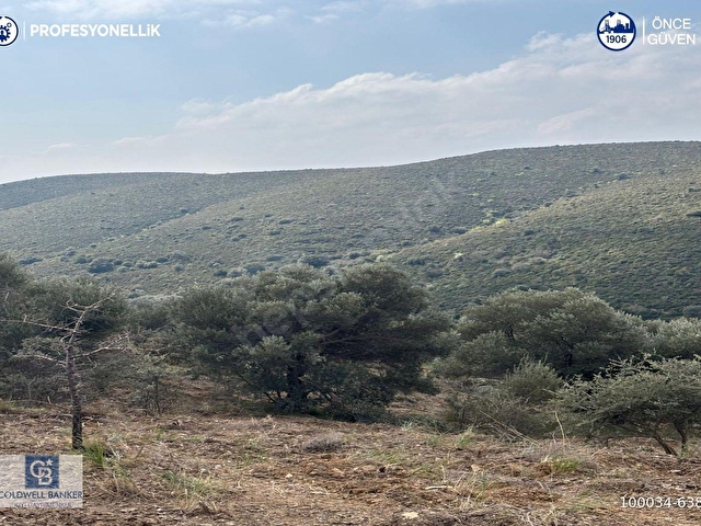 Karaburun Salmanda 9.482 m² Yatırımlık Satılık Tarla - Görsel 12