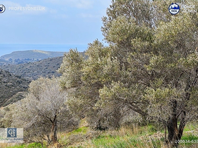 Karaburun Salmanda 9.482 m² Yatırımlık Satılık Tarla - Görsel 2