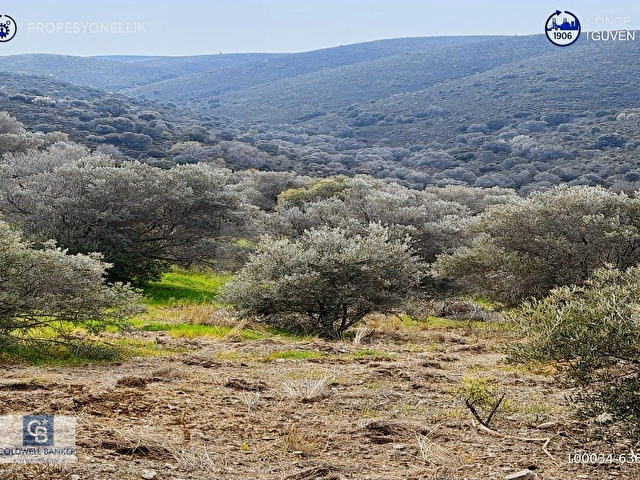 Karaburun Salmanda 9.482 m² Yatırımlık Satılık Tarla - Görsel 8