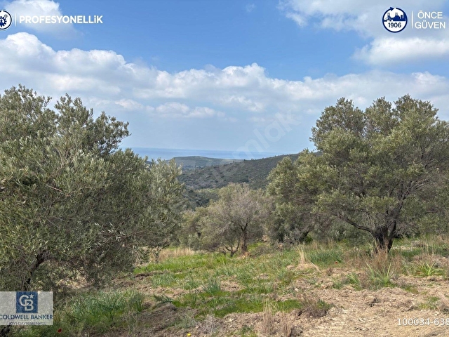 Karaburun Salmanda 9.482 m² Yatırımlık Satılık Tarla
