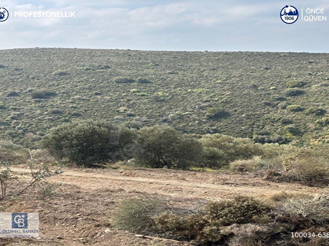 Karaburun Salmanda 9.482 m² Yatırımlık Satılık Tarla - Görsel 10