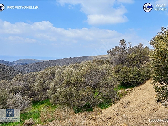Karaburun Salmanda 9.482 m² Yatırımlık Satılık Tarla - Görsel 5