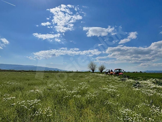 Otogar’a yakın 13 dönüm satılık arsa - Görsel 5