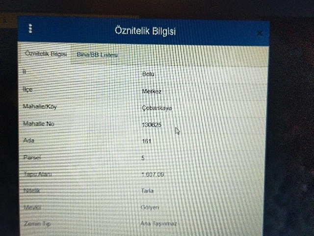 BASKIN GAYRİMENKULDEN DOĞA HARİKASI ORMANDA YER İSTEYENLERE TARLA