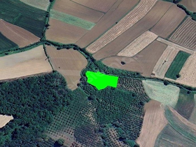 KANDIRA ÖZBEYDE - DERE YANI - 2159 M² - FINDIK BAHÇESİ FIRSATI - Görsel 14
