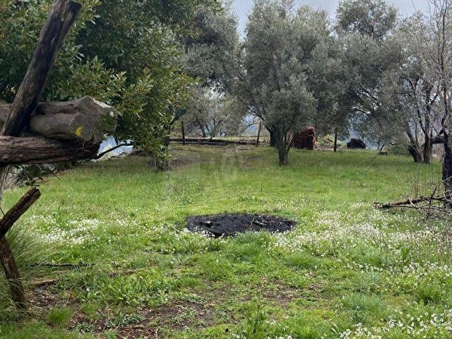 DALAMAN ÇÖĞMEN SATILIK YATIRIMLIK İÇERİSİNDE EV BULUNAN  TARLA - Görsel 5