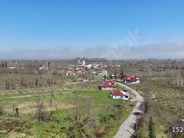 Alibey’den Terme Bağsaray Mah’de Satılık 9 Dönüm Fındıklık - Görsel 16