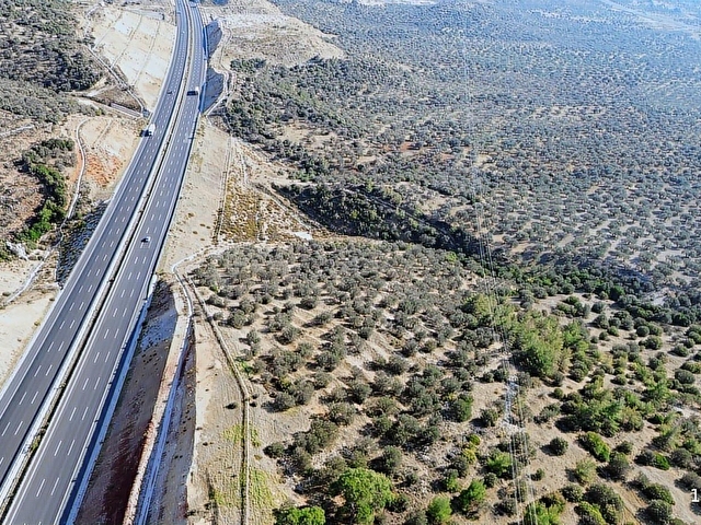 bergama zeytindağda deniz manzaralı zeytinlik - Görsel 21