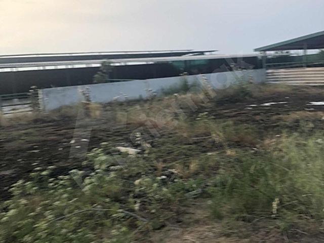 TEKİRDAĞ KAPAKLIDA SATILIK TARLA - Görsel 15
