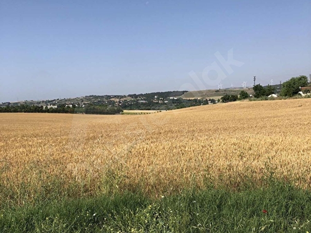 TEKİRDAĞ KAPAKLIDA SATILIK TARLA - Görsel 9