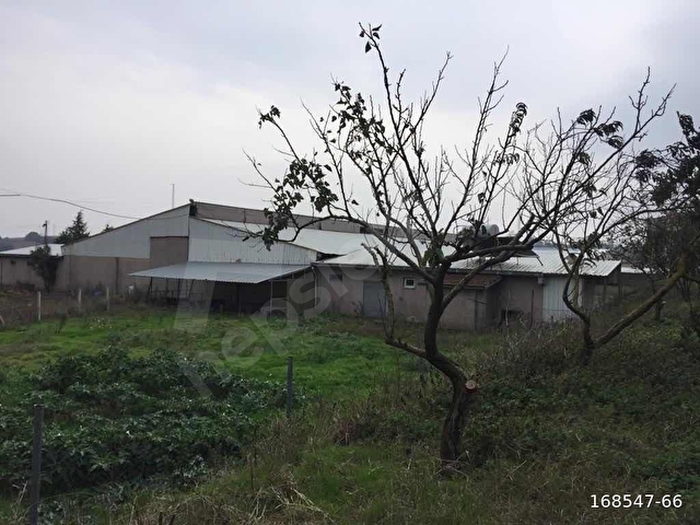 TEKİRDAĞ KAPAKLIDA SATILIK TARLA - Görsel 22
