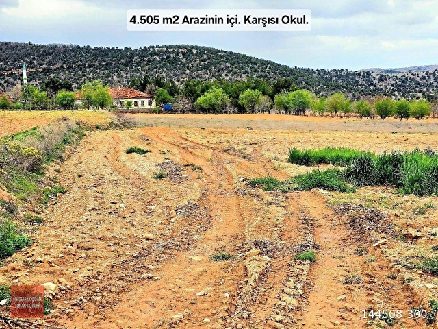 UŞAK KARAHALLI KAVAKLIDA KÖYİÇİ 4505 m2 ÇİFTLİK İMARLI 110m2 VİLLA YAPILABİLİR. AÇIKLAMAYI OKUYUNUZ - Görsel 11