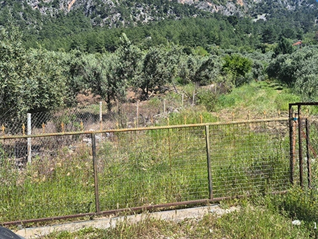 DALAMAN TAŞLIBURUNDA ÇAY MANZARALI 3 DÖNÜM ARAZİ + EV - Görsel 8