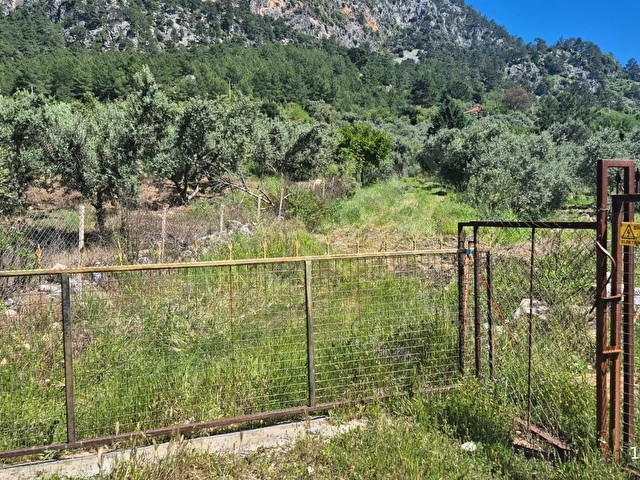 DALAMAN TAŞLIBURUNDA ÇAY MANZARALI 3 DÖNÜM ARAZİ + EV - Görsel 21