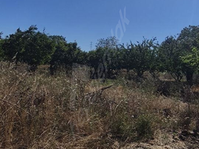 ÇANAKKALE LAPSEKİ ÇARDADA KAÇIRILMAYACAK FIRSAT ARSA! - Görsel 11