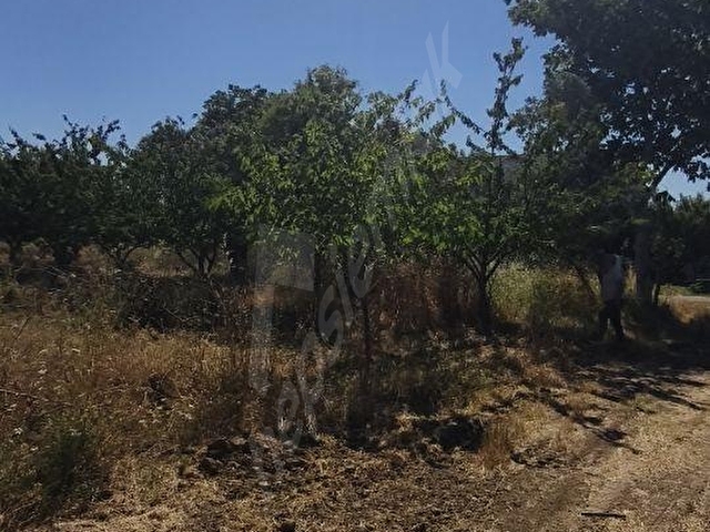 ÇANAKKALE LAPSEKİ ÇARDADA KAÇIRILMAYACAK FIRSAT ARSA!
