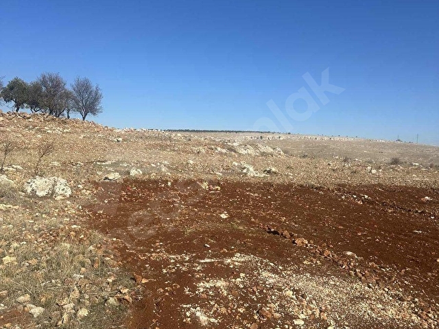 DORUK GAYRİMENKUL DEN BAĞ EVLİK ARAZİ ZİRVE KONUMDA - Görsel 13