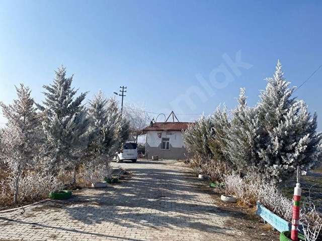 İsmilde 13.700 m² Hazır Büyükbaş Çiftlik 80 Baş Kapasiteli - Görsel 4