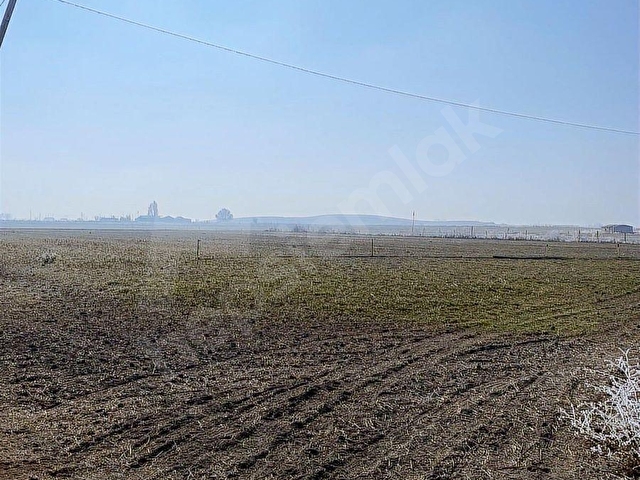 İsmilde 13.700 m² Hazır Büyükbaş Çiftlik 80 Baş Kapasiteli - Görsel 8