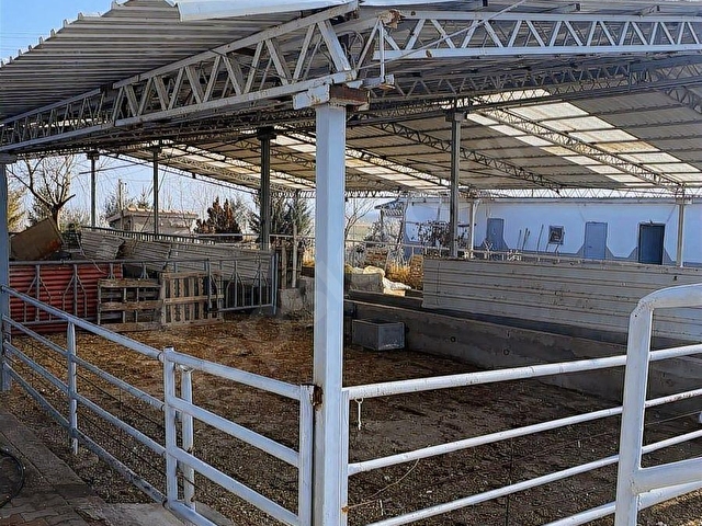 İsmilde 13.700 m² Hazır Büyükbaş Çiftlik 80 Baş Kapasiteli - Görsel 5