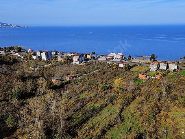 TAŞ GAYRİMENKULDEN BOLAMANDA SATILIK FINDIK BAHÇESİ