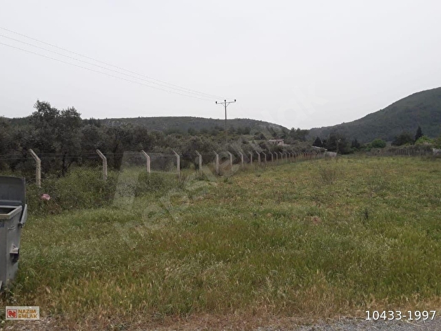 MENDERES ÇİLE DE ZEYTİNLİK YOLU VE TEL ÇEVRİLİ - Görsel 2