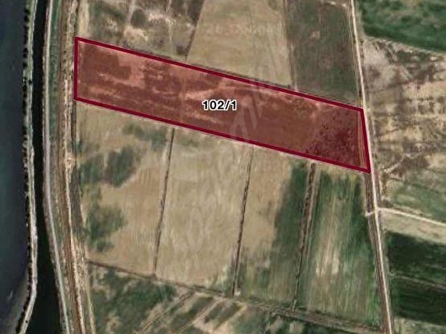 İZMİRMENEMEN SÜZBEYLİK ACİL SATILIK TARLA 52931 M2 - Görsel 3