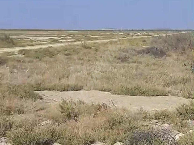 İZMİRMENEMEN SÜZBEYLİK ACİL SATILIK TARLA 52931 M2 - Görsel 5