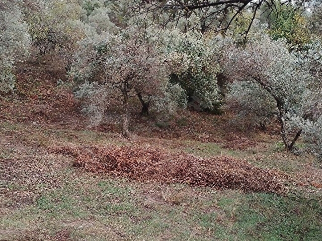 Satılık Arsa - Görsel 4