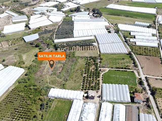 Aksu Gökderede 16.5 Dönüm Satılık Tarla - Görsel 5