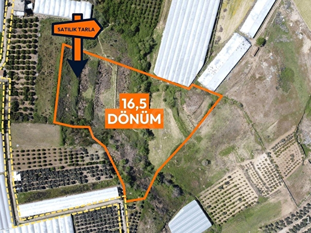 Aksu Gökderede 16.5 Dönüm Satılık Tarla