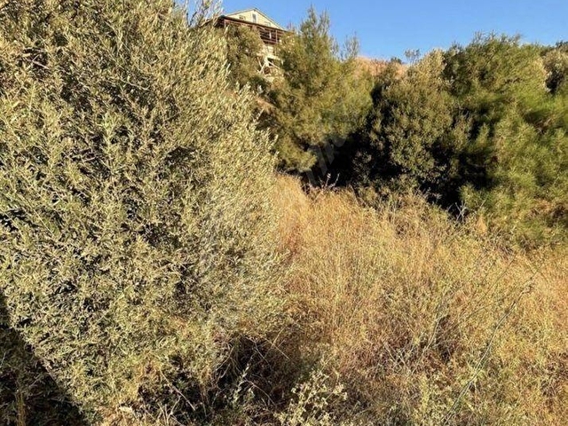 Menderes Gümüldürde satılık deniz manzaralı 285 metrekare arsa ilan no:1004 - Görsel 5