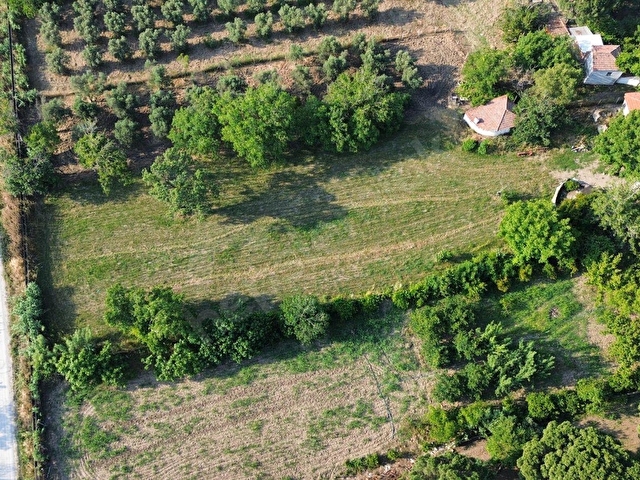 ATATÜRK MAHALLESİ MÜFTÜ SOKAKTA SATILIK 2917 M² BAĞ - Görsel 5